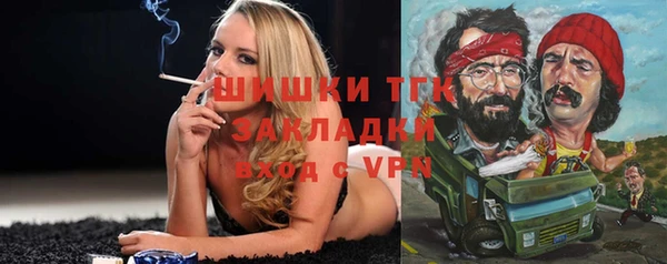 индика Белоозёрский