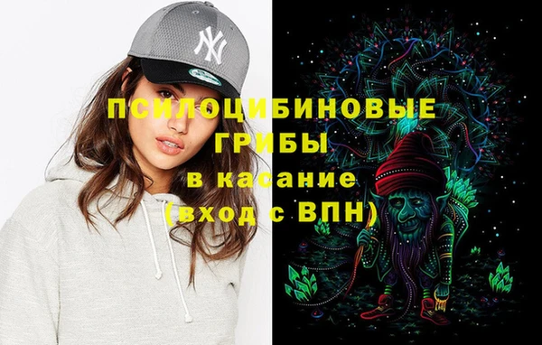 молекула духа Белокуриха