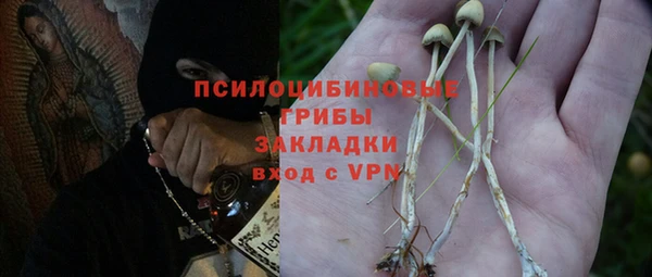 индика Белоозёрский