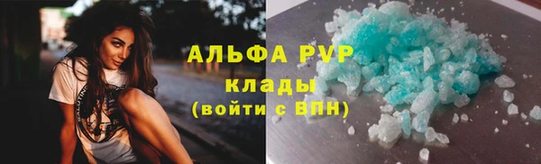 индика Белоозёрский