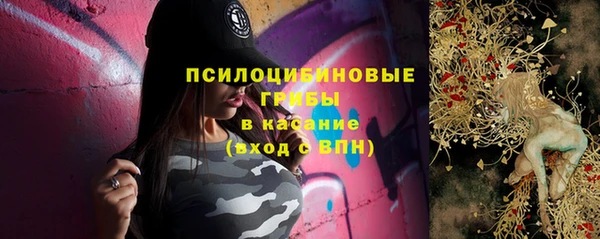 индика Белоозёрский