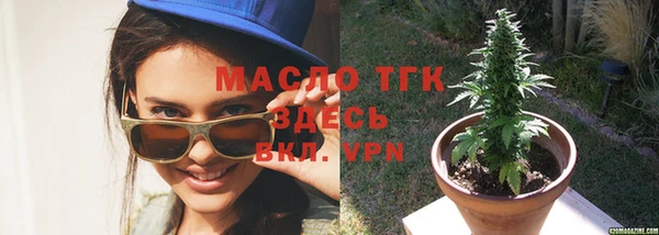 индика Белоозёрский